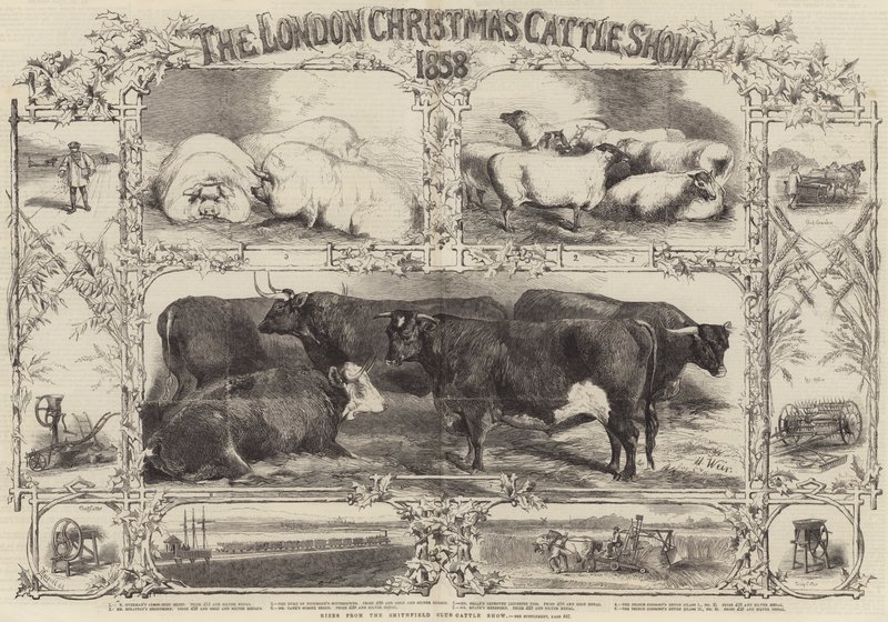 Die Londoner Weihnachtsviehschau von 1858 von Harrison William Weir