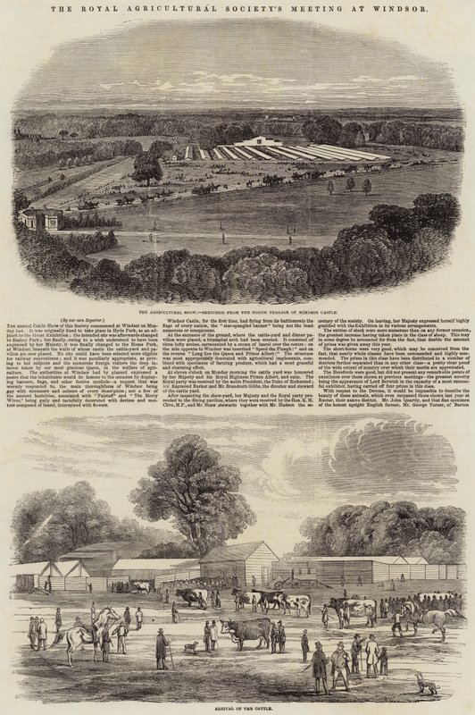 Das Treffen der Royal Agricultural Society in Windsor von Harrison William Weir