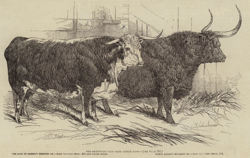 Die Smithfield Club Preisviehschau von Harrison William Weir