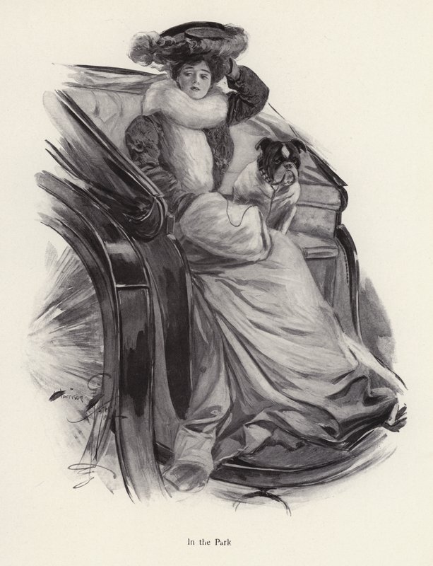 Frau sitzt mit ihrem Hund in einer Kutsche von Harrison Fisher