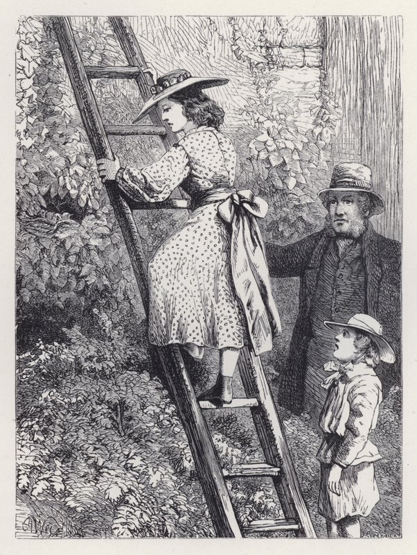 Harriet späht in das Nest der Rotkehlchen (Stich) von Harrison William Weir