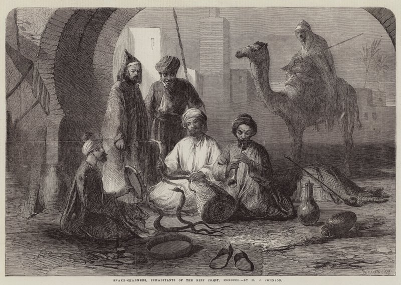 Schlangenbeschwörer, Bewohner der Riffküste, Marokko von Harry John Johnson