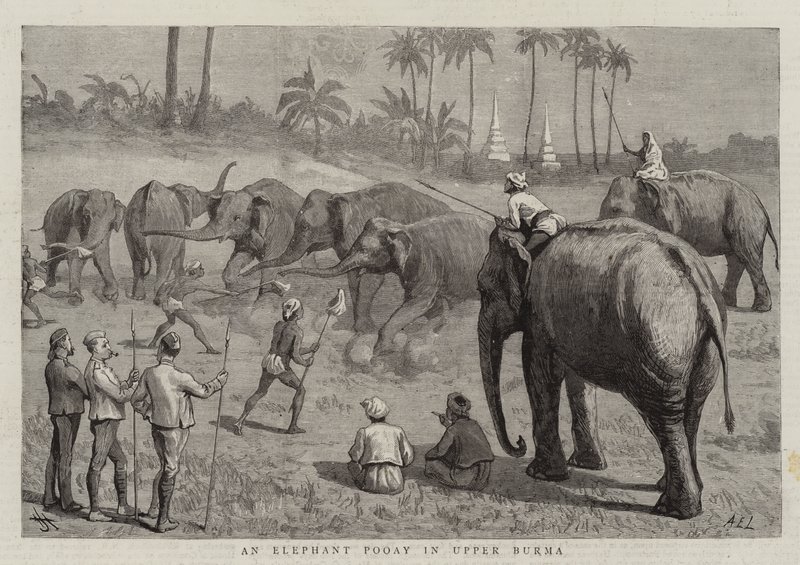 Ein Elefanten-Pooay in Oberburma von Harry Hamilton Johnston