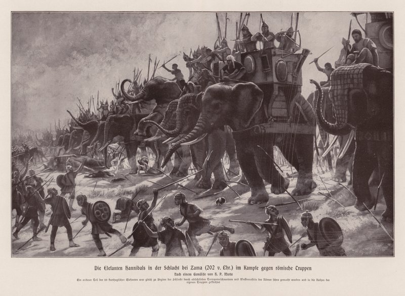 Hannibals Elefanten in der Schlacht von Zama, 202 v. Chr. von Henri Paul (after) Motte