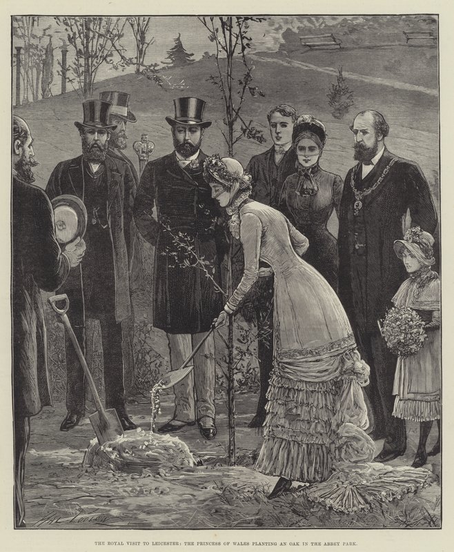 Der königliche Besuch in Leicester, die Prinzessin von Wales pflanzt eine Eiche im Abbey Park von Henry Stephen Ludlow