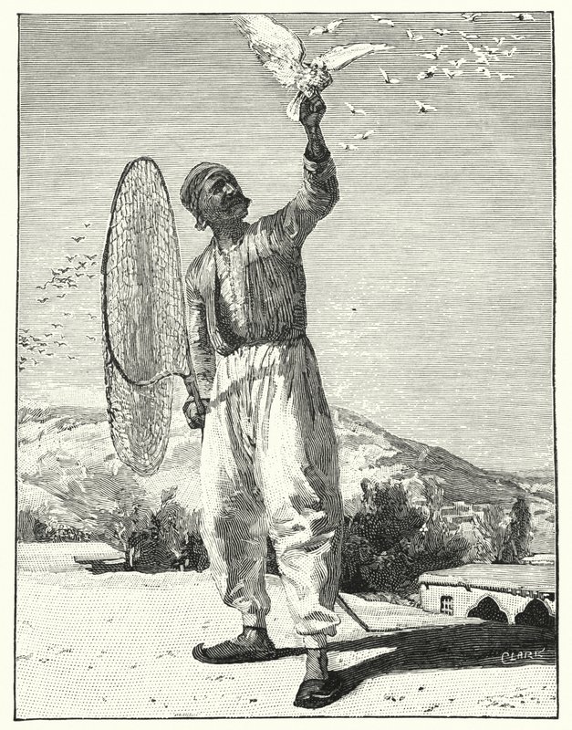 Vögel auf dem Dach im Osten fangen (Lithografie) von Henry Andrew Harper