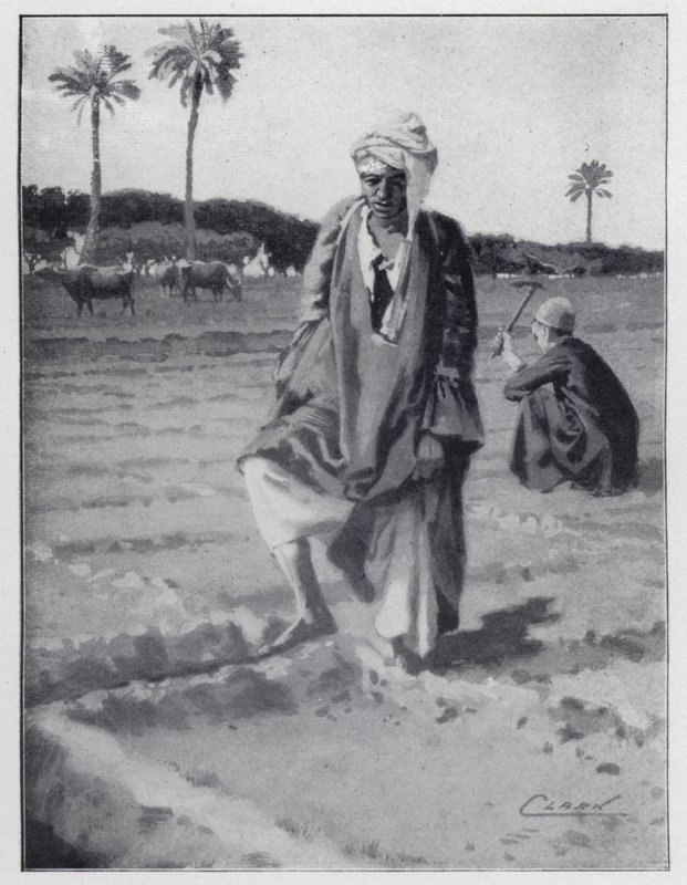Bewässerung mit dem Fuß in Gizeh, Ägypten von Henry Andrew Harper