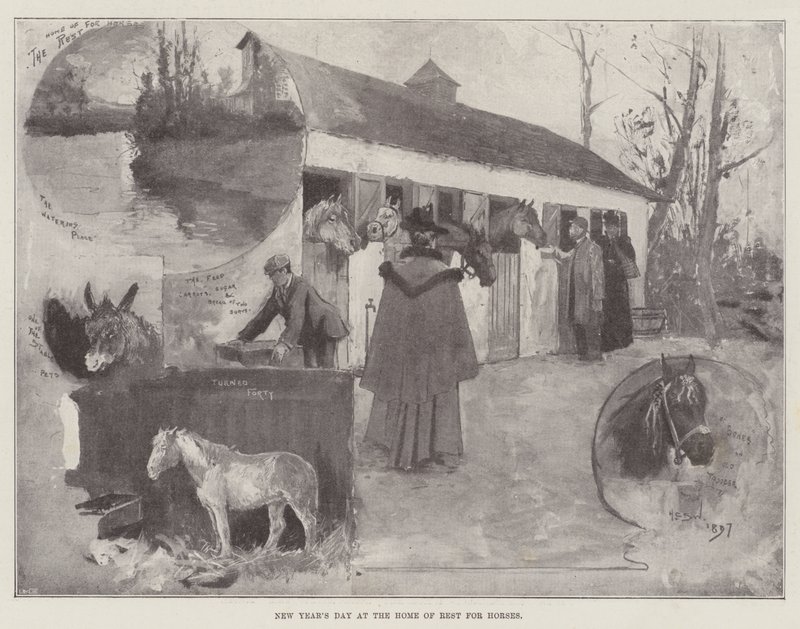 Neujahrstag im Heim der Ruhe für Pferde von Henry Charles Seppings Wright