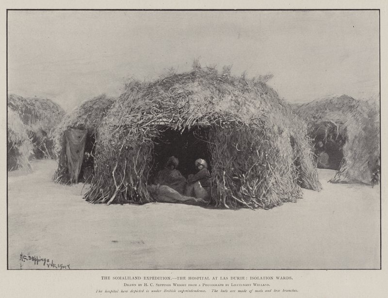 Die Somaliland-Expedition, das Krankenhaus in Las Durie, Isolierstationen von Henry Charles Seppings Wright