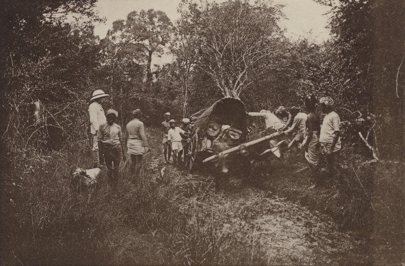Ruinenstädte von Ceylon: Auf dem Weg nach Polonnaruwa von Henry W. Cave