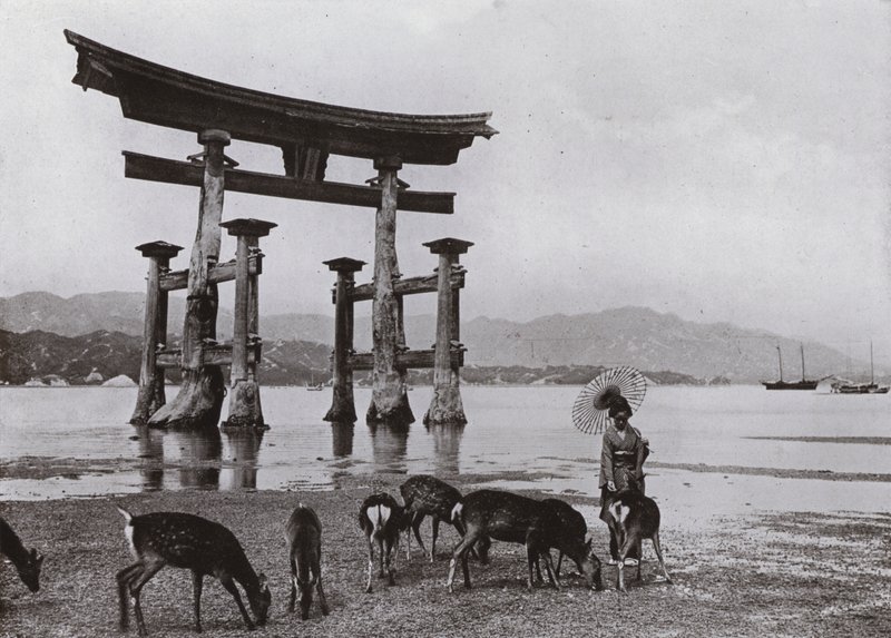 Das alte Torii in Miyajima von Herbert Ponting
