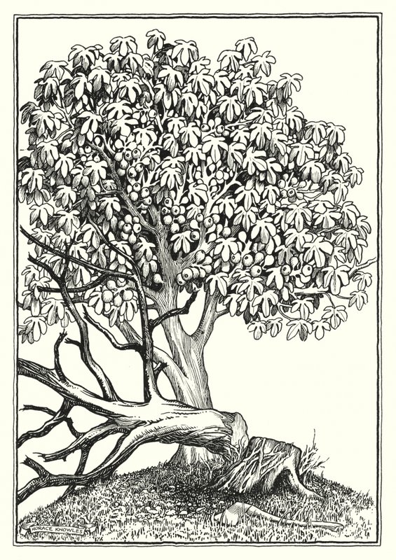 Illustration zur Bergpredigt von Horace J. Knowles