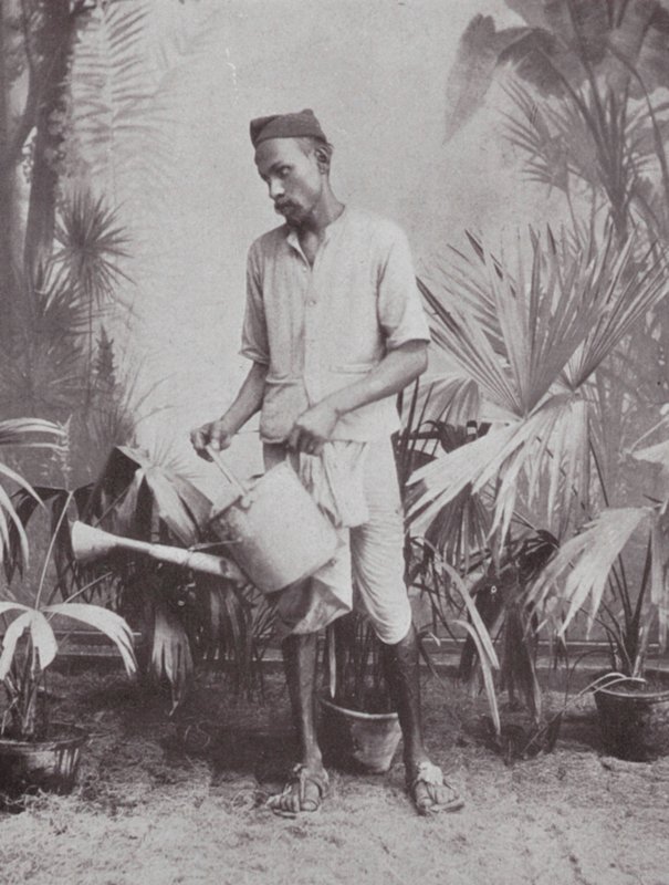 Bombay / Mumbai: Gärtner von Indian photographer