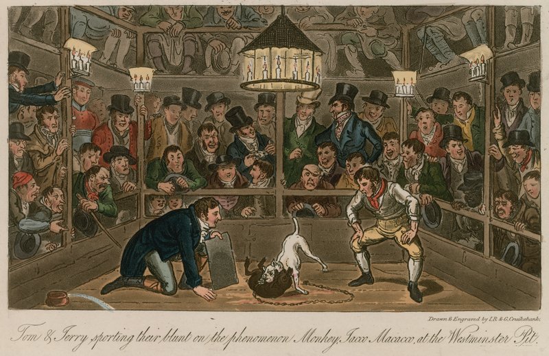 Tom und Jerry mit ihrem Blunt beim Phänomen Monkey, Jacco Macacco, in der Westminster Pit von Isaac, Robert and George Cruikshank