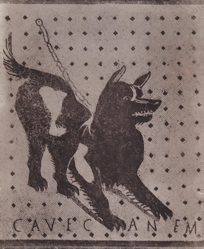 Mosaik, Cave Canem von Italian Photographer