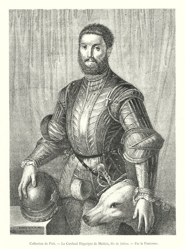 Sammlung von Pitti, Kardinal Hippolyte de