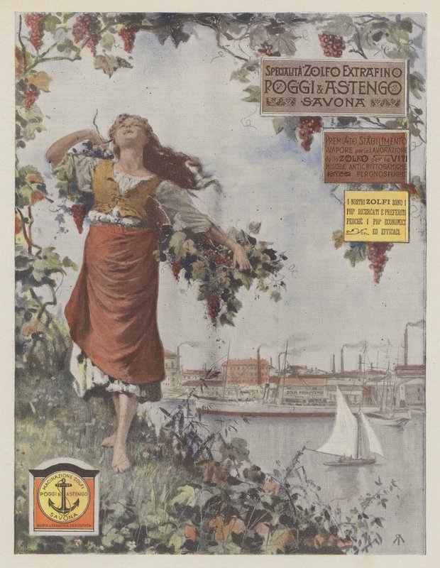 Poggi & Astengo (Farblithografie) von Italian School