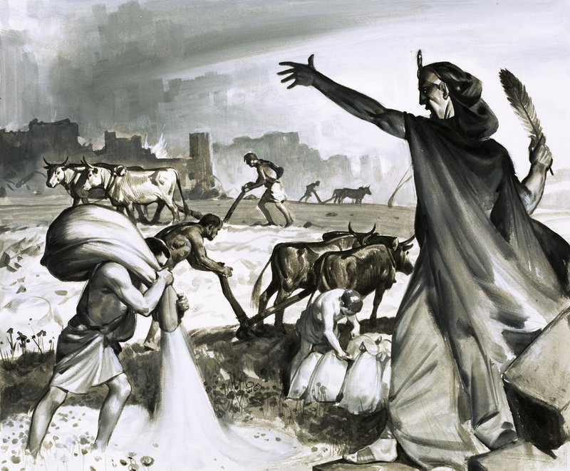 Der Aufstieg und Fall von Karthago: Der römische Fluch auf Karthago von James Edwin McConnell