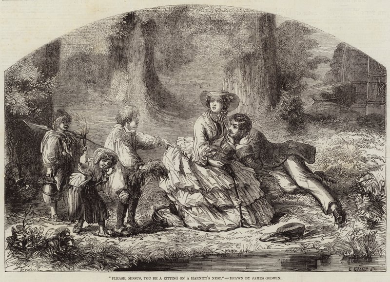 Bitte, Missus, Sie sitzen auf einem Harnitt-Nest von James Godwin