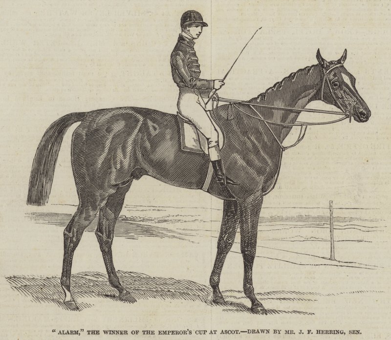Alarm, der Gewinner des Kaiserpokals in Ascot von James Herring