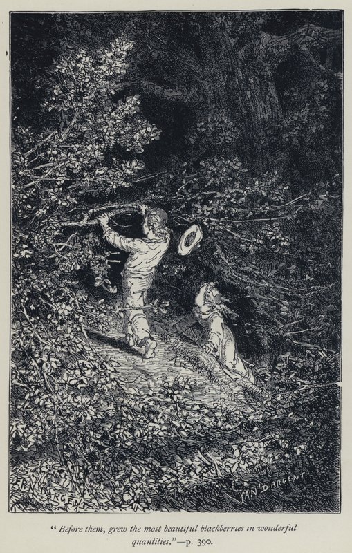 „Vor ihnen wuchsen die schönsten Brombeeren in wunderbaren Mengen“ von Jean Edouard Dargent
