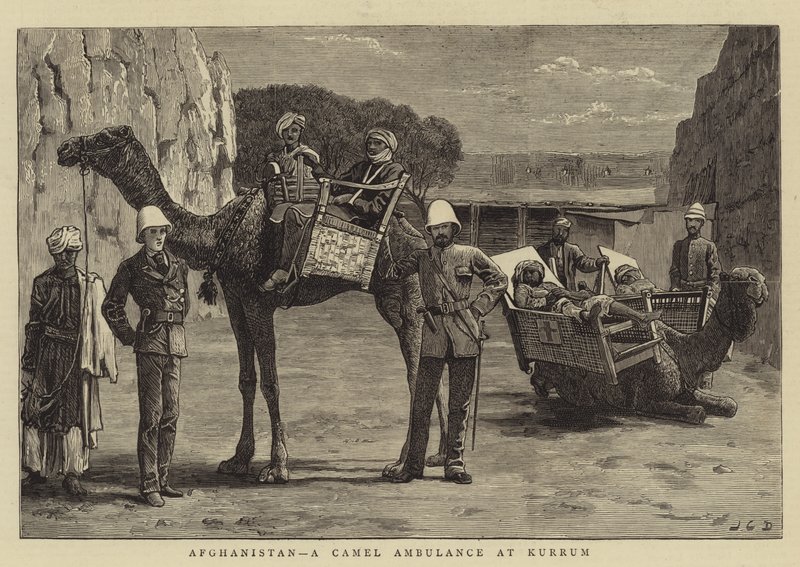 Afghanistan, ein Kamelkrankenwagen in Kurrum von John Charles Dollman