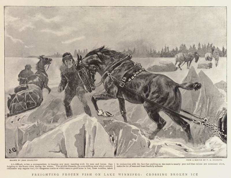 Transport von gefrorenem Fisch auf dem Winnipegsee, Überquerung von gebrochenem Eis von John Charlton