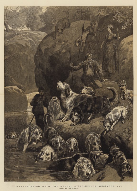 Otterjagd mit den Kendal Otter-Hounds, Westmoreland von John Charlton