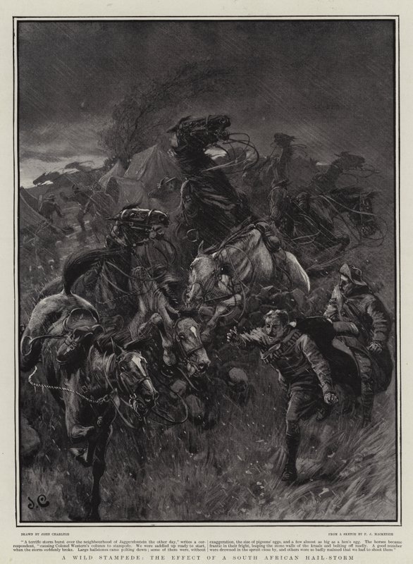 Eine wilde Stampede, die Wirkung eines südafrikanischen Hagelsturms von John Charlton