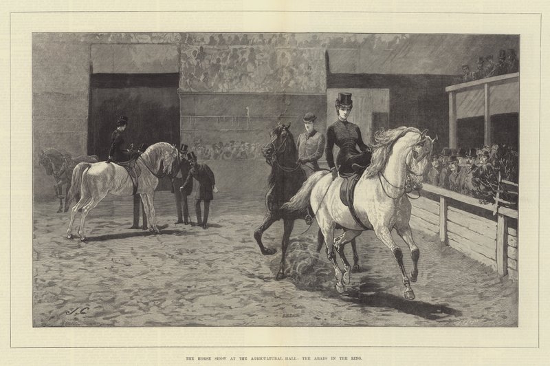 Die Pferdeschau in der Agricultural Hall, die Araber im Ring von John Charlton