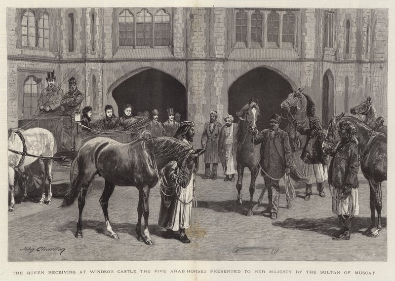 Die Königin empfängt auf Schloss Windsor die fünf arabischen Pferde, die ihr vom Sultan von Maskat geschenkt wurden von John Charlton