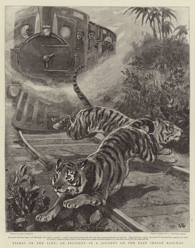 Tiger auf der Linie, ein Vorfall auf einer Reise mit der East Indian Railway von John Charlton