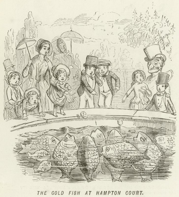 Der Goldfisch in Hampton Court von John Leech
