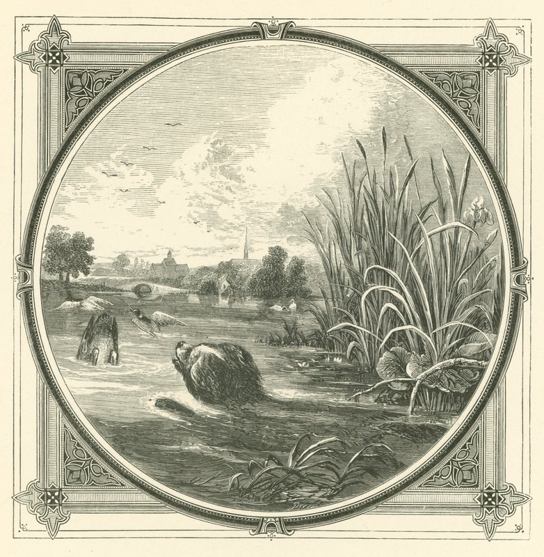 Viele Missgeschicke zwischen dem Becher und den Lippen (Stich) von John Leighton