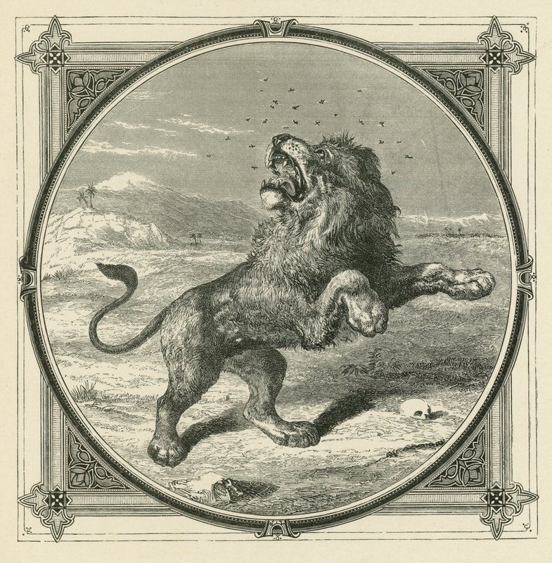 Die Mücke sticht die Augen des Löwen (Gravur) von John Leighton
