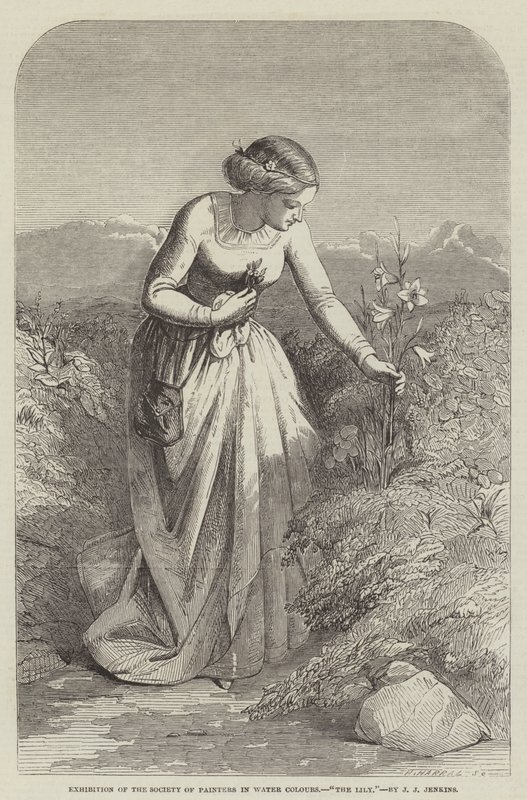 Ausstellung der Gesellschaft der Aquarellmaler, Die Lilie von Joseph John Jenkins