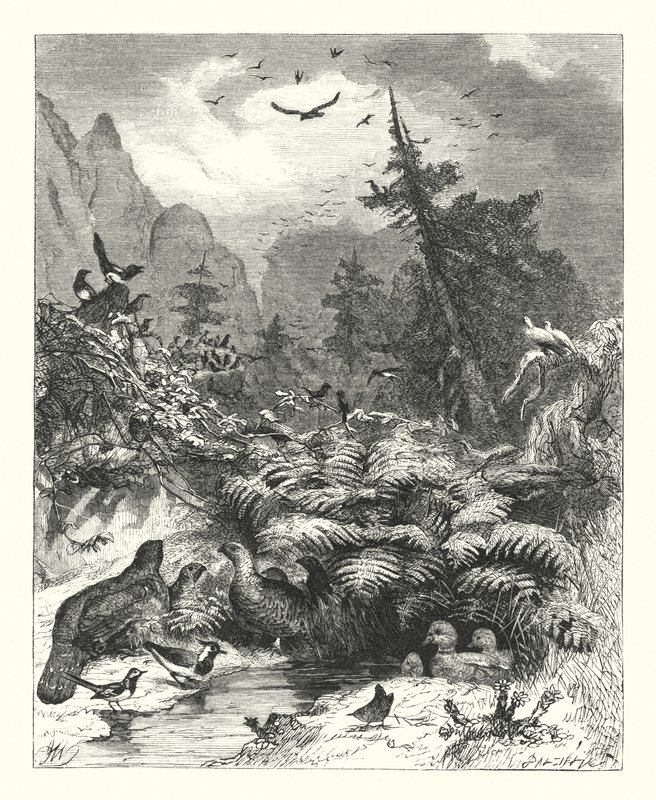 Suche nach Gott von Joseph (after) Wolf