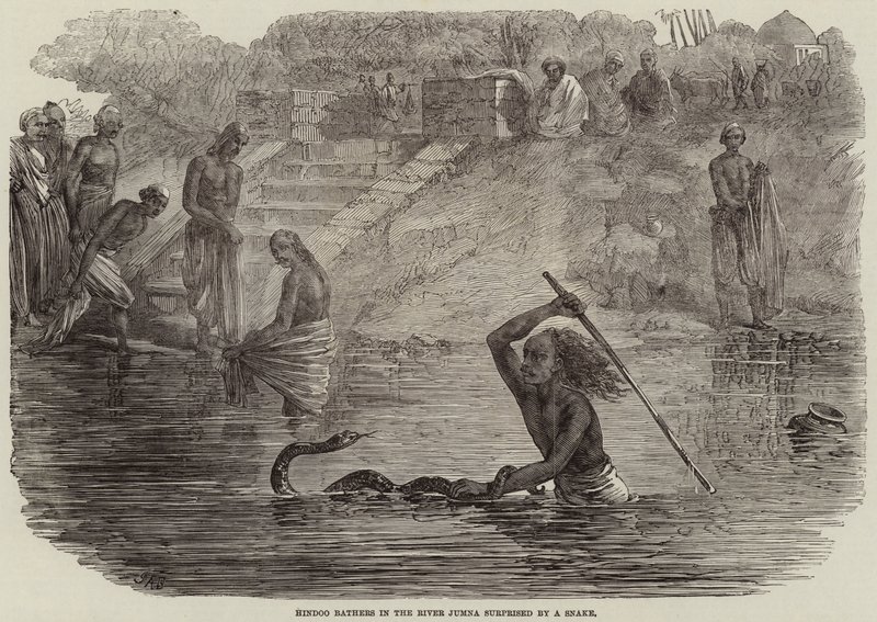 Hindoo-Bader im Fluss Jumna von einer Schlange überrascht von Joseph Austin Benwell