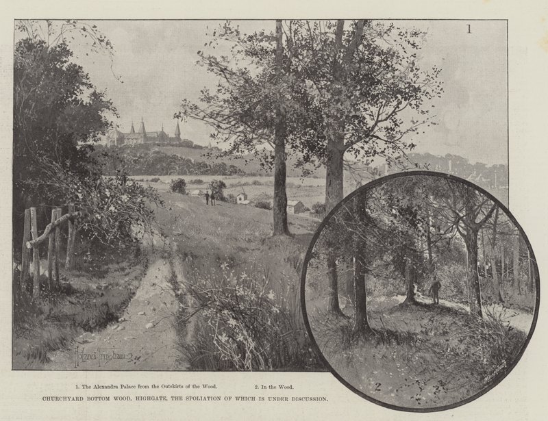 Churchyard Bottom Wood, Highgate, dessen Plünderung zur Diskussion steht von Joseph Holland Tringham