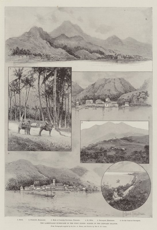 Der bedauerliche Hurrikan in den Westindischen Inseln, Szenen auf den Leeward-Inseln von Joseph Holland Tringham