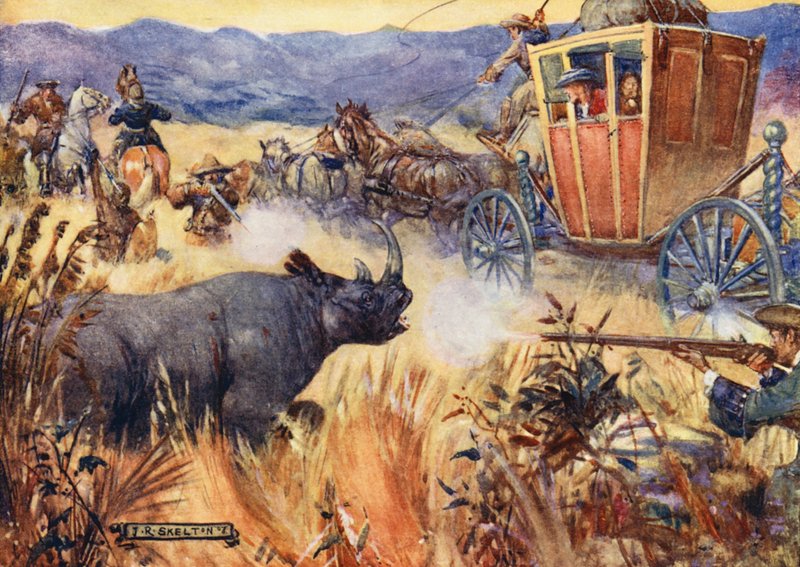Simon Van der Stel und das Nashorn von Joseph Ratcliffe (after) Skelton