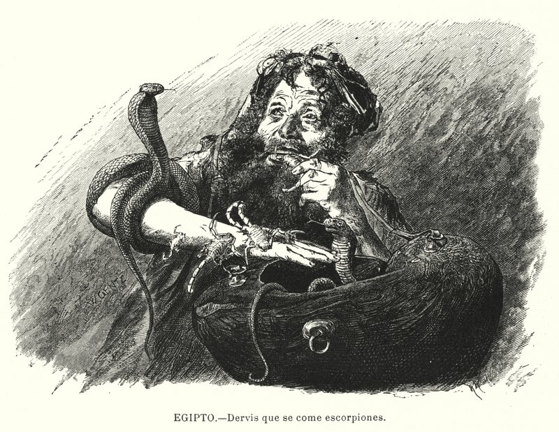 Derwisch, der Skorpione isst, Ägypten von Karl Wilhelm Gentz