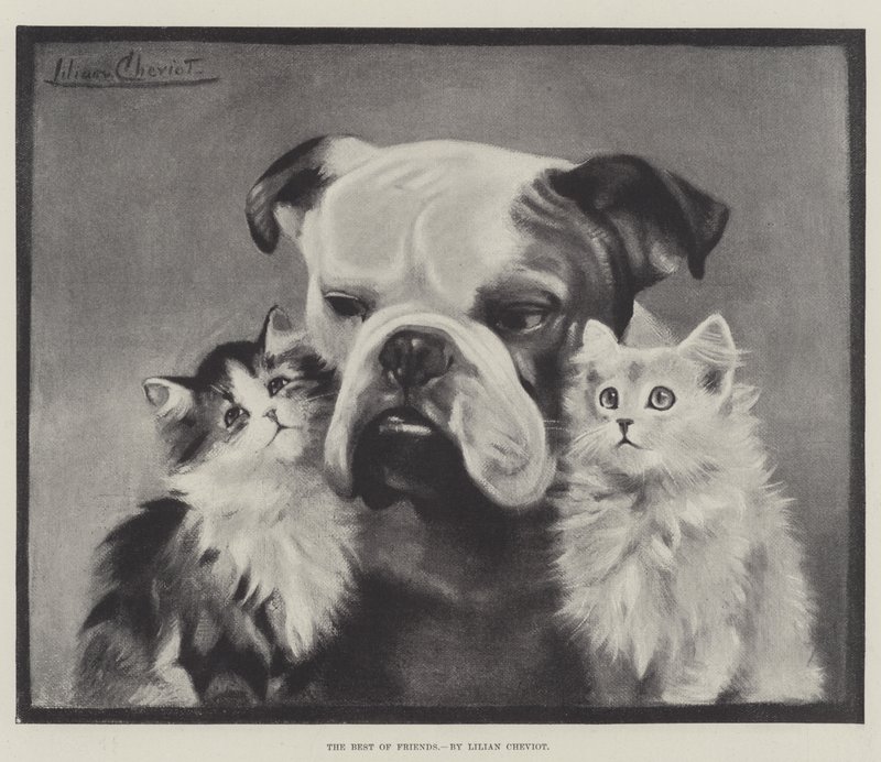 Die besten Freunde von Lilian Cheviot