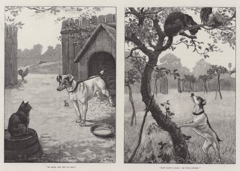 Katzen und Hunde von Louis Wain