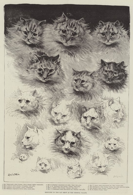 Skizzen der Katzenausstellung im Crystal Palace von Louis Wain