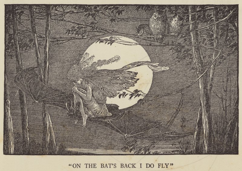 Auf dem Rücken der Fledermaus fliege ich von Louis John Rhead