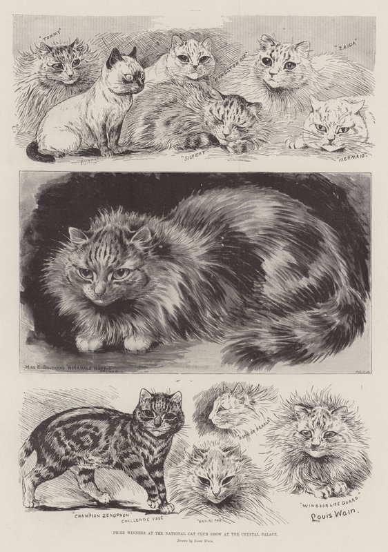 Preisträger auf der National Cat Club Show im Crystal Palace von Louis Wain