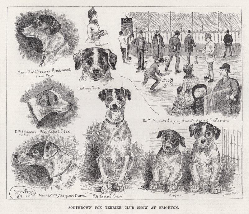 Southdown Fox Terrier Club Show in Brighton von Louis Wain