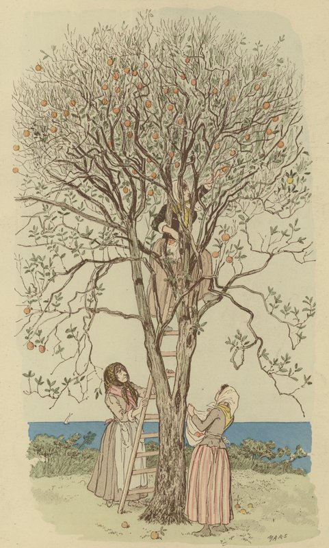 Orangenpflücken am Mittelmeer (Farblithografie) von Maurice Charles Mathieu Bonvoisin