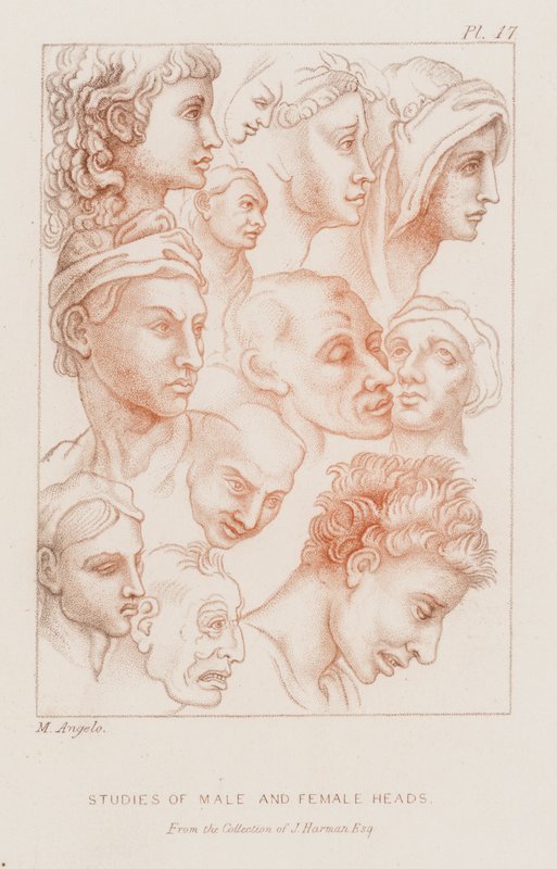 Studien von männlichen und weiblichen Köpfen von Michelangelo (after) Buonarroti
